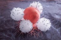 Unlocking New Cancer Treatments: The Role of White Blood Cell Creation