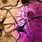 Promising New Strategy Emerges Against Deadliest Brain Cancer