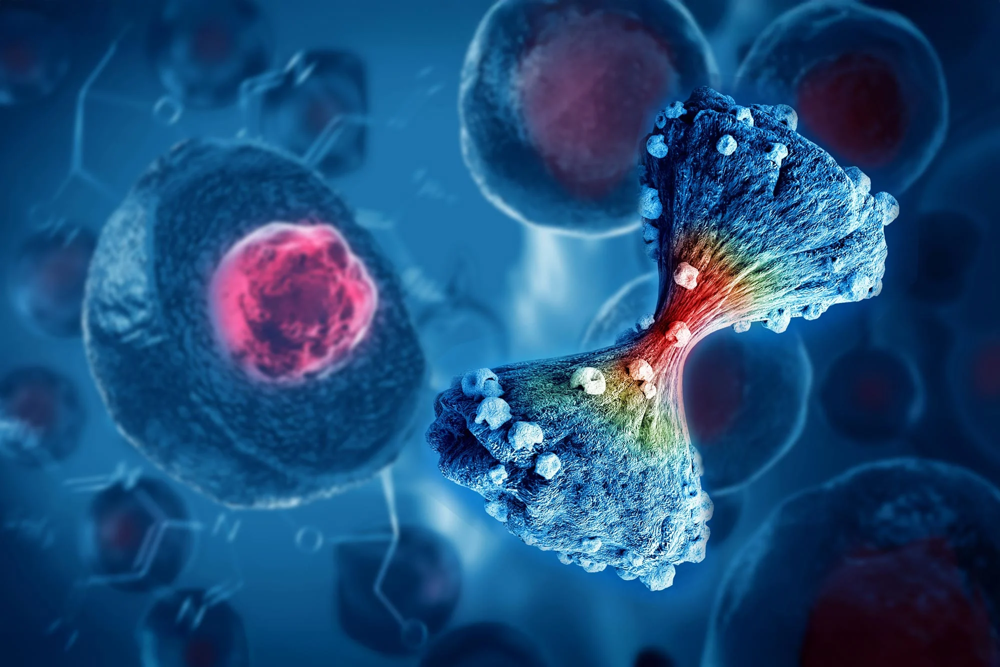 Rising Colorectal Cancer Rates in Young Adults: A Warning