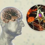 Plant Compounds in Berries, Tea, and Cocoa for Brain Health