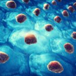 Revolutionary Diabetes Treatment Reprograms Immune System