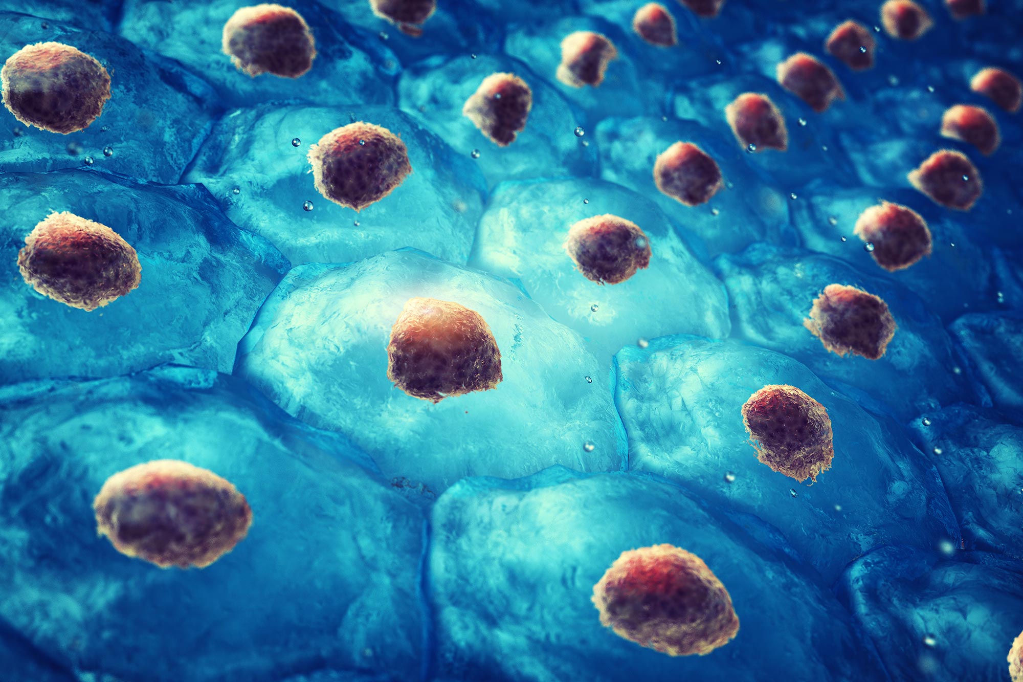 Revolutionary Diabetes Treatment Reprograms Immune System