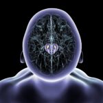 Magnetic Nanoparticles Improve Movement in Mice With Parkinson’s Symptoms