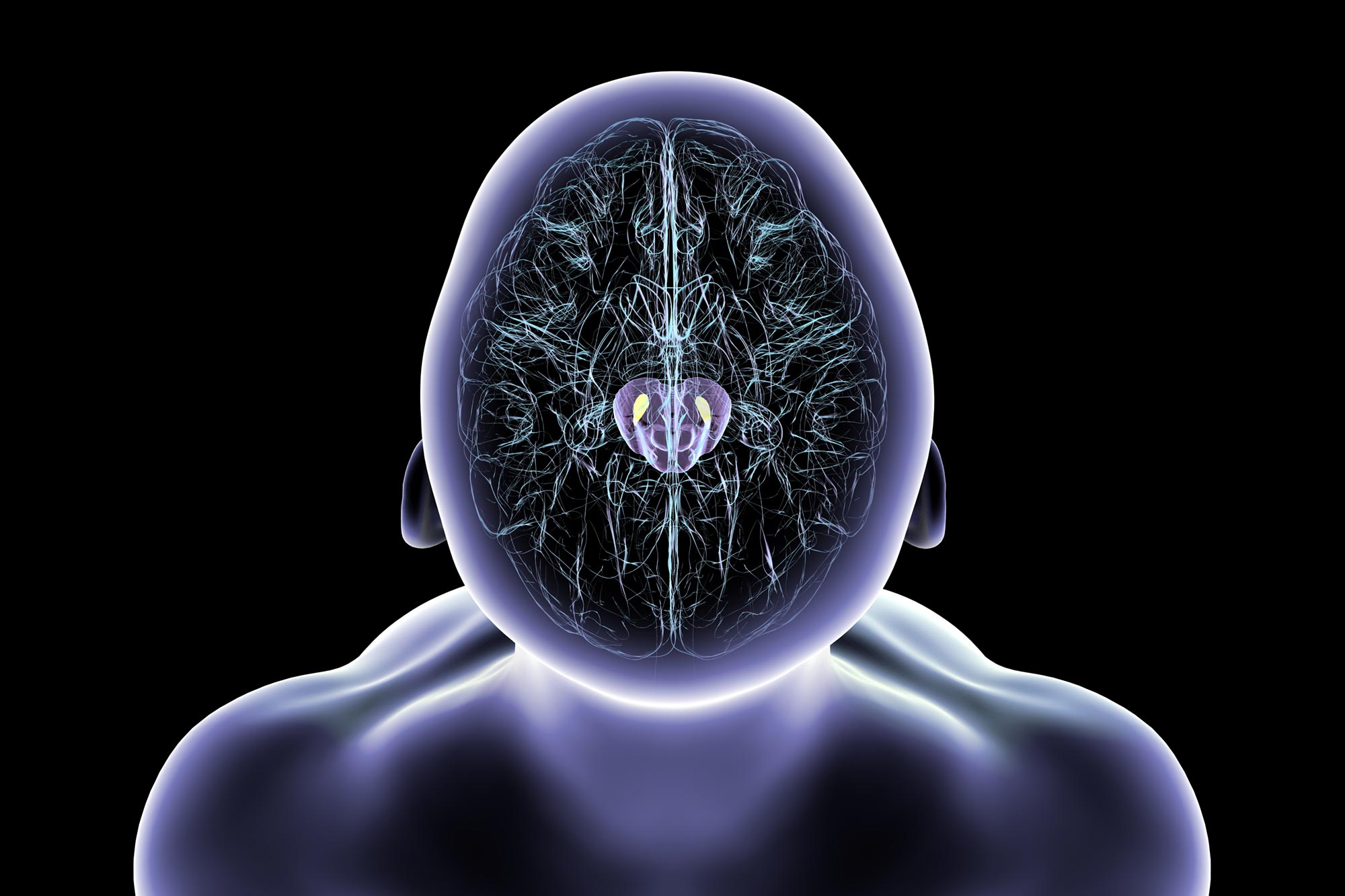 Magnetic Nanoparticles Improve Movement in Mice With Parkinson’s Symptoms