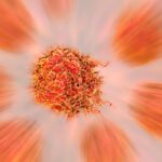 New Tool Enhances Immunotherapy for Prostate Cancer