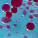 Rising CO₂ Levels May Be Altering Human Blood Chemistry, Researchers Warn