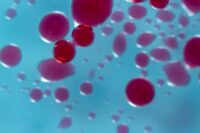 Rising CO₂ Levels May Be Altering Human Blood Chemistry, Researchers Warn