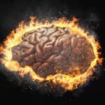 Brain Scans Show Disorders That May Speed Up Brain Aging