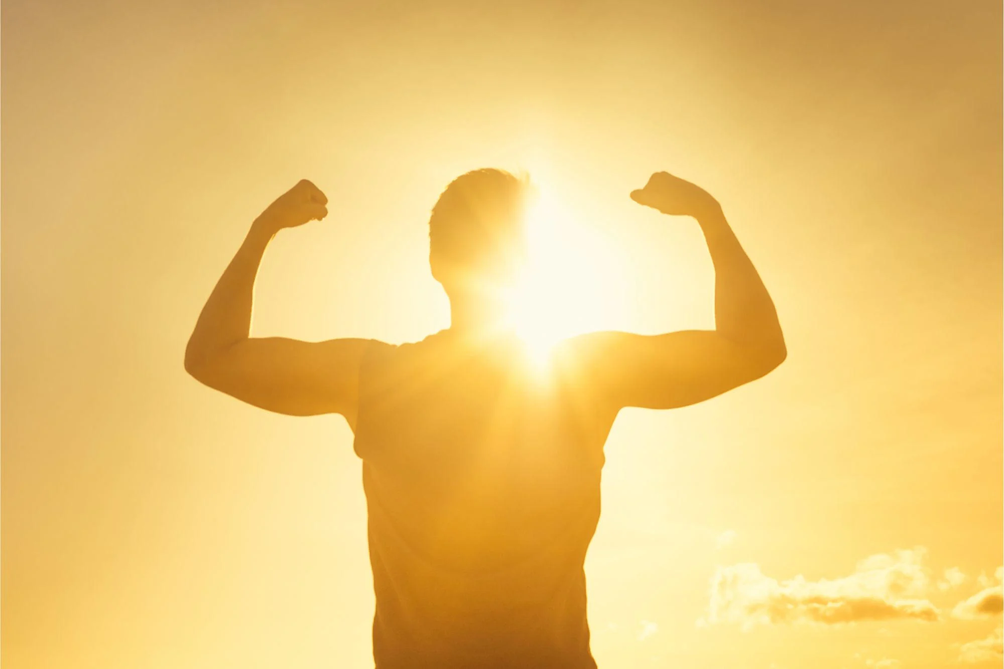 Unlocking Strength in Aging: The Role of Gut Microbes