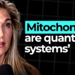 Understanding Mitochondria: Key to Biohacking Insights