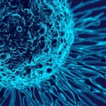 New Imaging Tech Tracks Cancer from Whole Body to Cells
