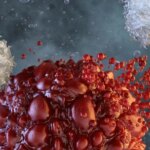 Cancer Cells Utilize Concealed Immune “Off Switch”