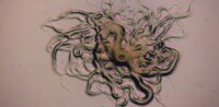 Newly Discovered Fish-Killing Pathogens in Brazil