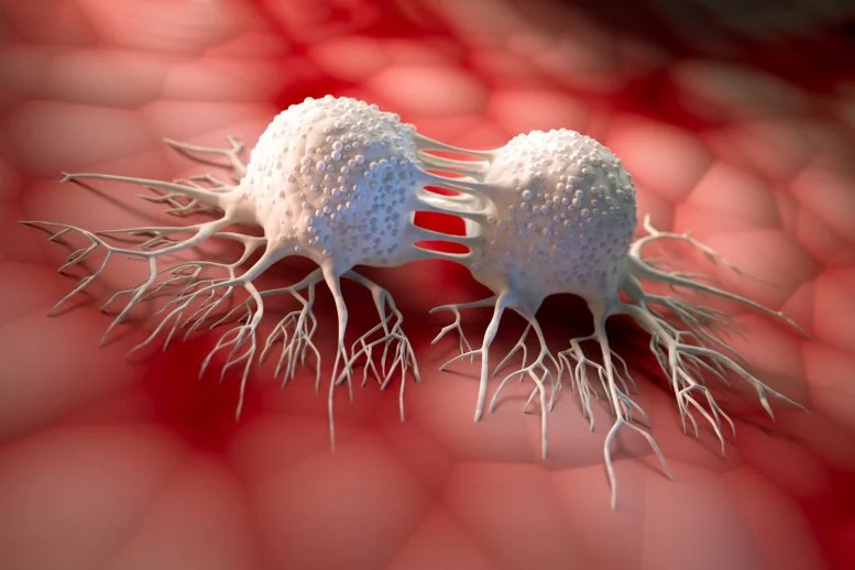 New Drug Candidate Aids in Overcoming Cancer Treatment Resistance