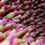 Gut Bacteria May Create Lasting “Protective Memory” in Intestines