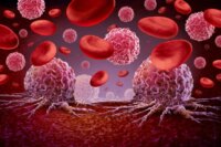 Scientists Uncover Hidden Method T Cells Use to Attack Leukemia