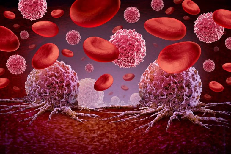 Scientists Uncover Hidden Method T Cells Use to Attack Leukemia